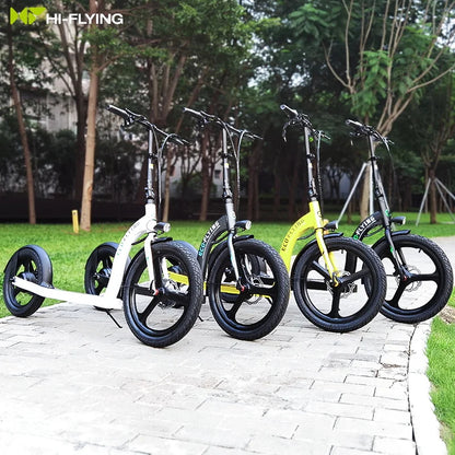 Kickbike Eco Flying H100 electric scooter - The environmentally friendly way to fly on wheels!